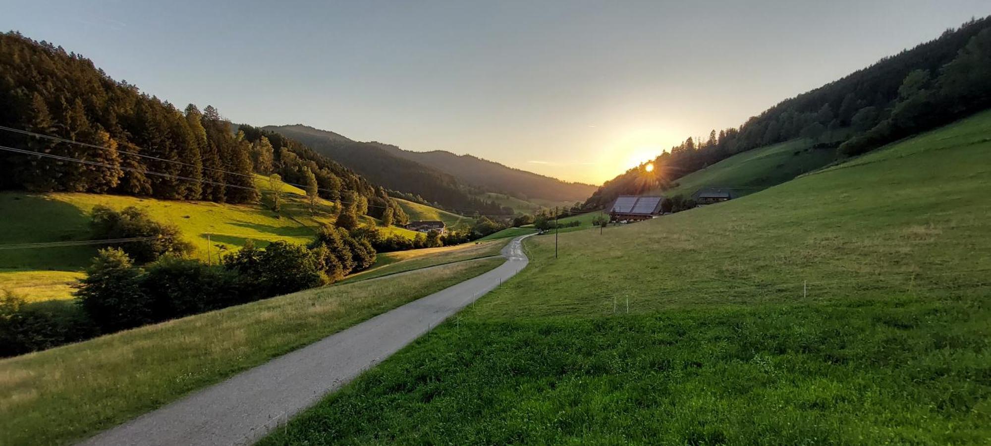 Irgendwo Im Schwarzwald Apartment เอลซาค ภายนอก รูปภาพ